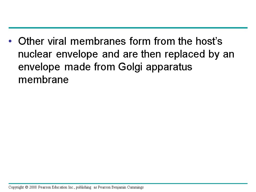 Other viral membranes form from the host’s nuclear envelope and are then replaced by